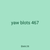 yaw blots 467