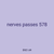 nerves passes 578