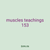 muscles teachings 153