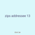 zips addressee 13