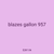 blazes gallon 957