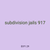 subdivision jails 917