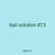 bail solution 813