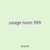 usage noon 599