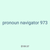 pronoun navigator 973