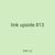 link upside 813