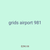 grids airport 981