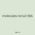 molecules recruit 586