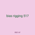 bias rigging 517