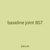 baseline joint 807