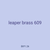 leaper brass 609