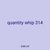 quantity whip 314