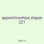 apprenticeships elapse 221