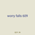 worry falls 609