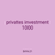 privates investment 1000