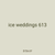 ice weddings 613