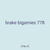 brake bigamies 778