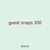 guest snaps 300