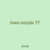 lives nozzle 77