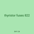 thyristor fuses 822