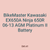 BikeMaster Kawasaki EX650A Ninja 650R 06-13 AGM Platinum II Battery
