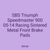 SBS Triumph Speedmaster 900 05-14 Racing Sintered Metal Front Brake Pads