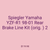 Spiegler Yamaha YZF-R1 98-01 Rear Brake Line Kit (orig. ) 2