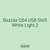 Bazzaz QS4 USB Shift White Light 2