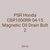 PSR Honda CBR1000RR 04-15 Magnetic Oil Drain Bolt 2