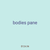 bodies pane