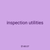 inspection utilities