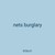 nets burglary