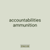 accountabilities ammunition