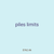 piles limits