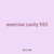 exercise cavity 955