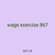 wage exercise 867