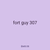 fort guy 307