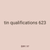 tin qualifications 623