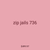 zip jails 736