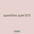 quantities quiet 873