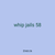 whip jails 58
