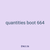quantities boot 664