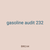 gasoline audit 232