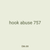 hook abuse 757