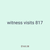 witness visits 817