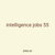 intelligence jobs 55