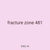 fracture zone 481