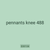 pennants knee 488