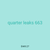 quarter leaks 663