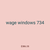 wage windows 734